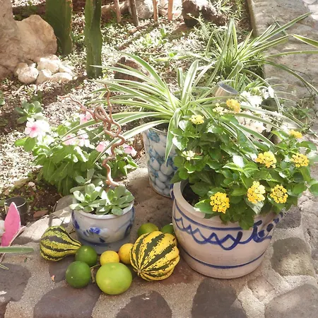 Gatti Appartement Sorso