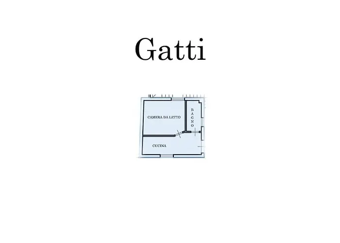 Gatti * Sorso