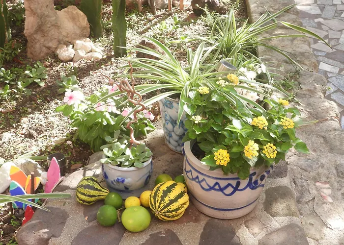 Gatti 公寓 索尔索